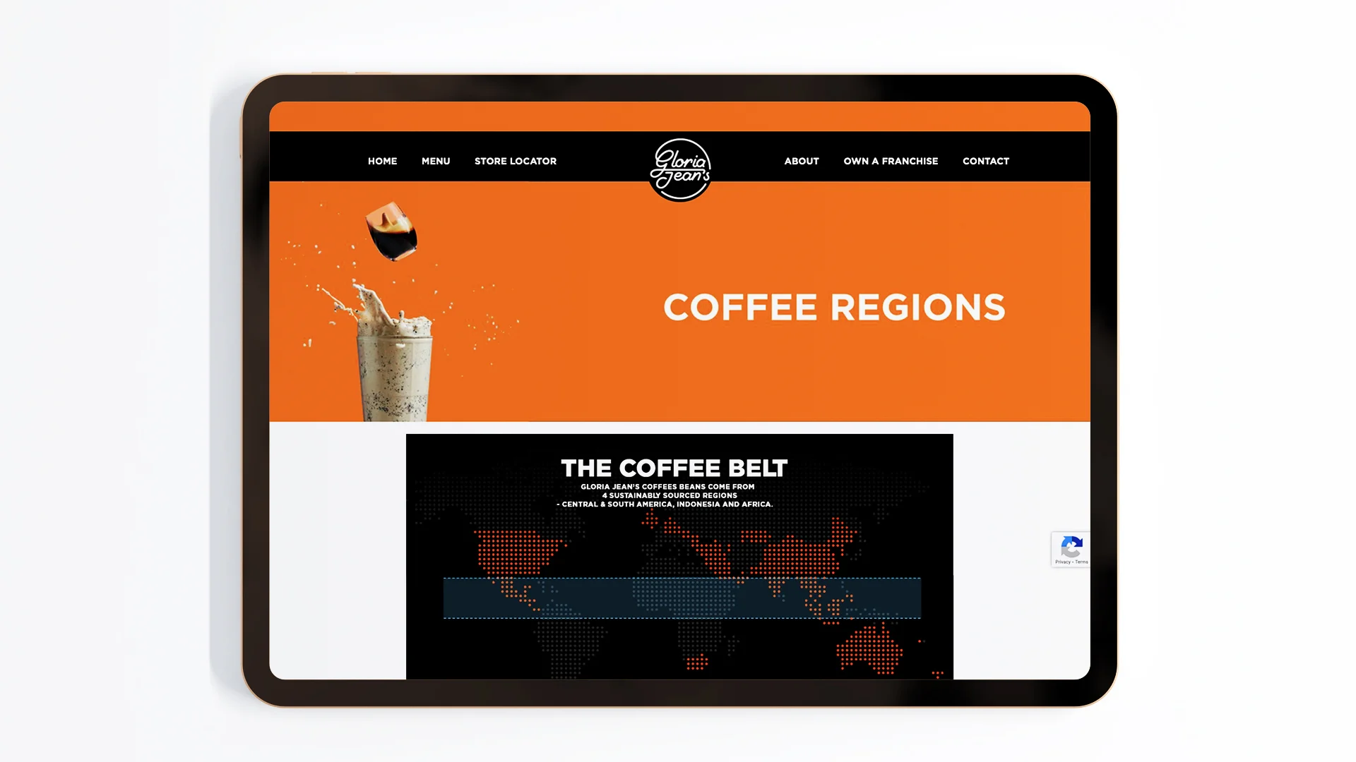 Gloria Coffee